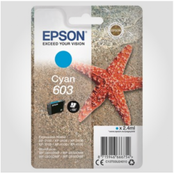 Epson 603 C, Original patron