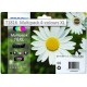 Epson T1816 Multipak (4 farver), originale patroner